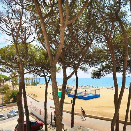 Playmar 204 Only Families Solo Familias